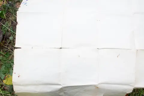 Чистая обратная сторона повреждённой карты