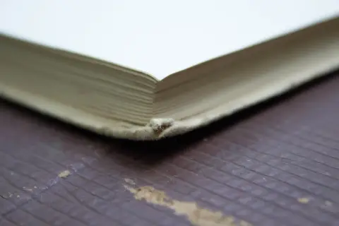 Блок страниц в корешковом сгибе раскрытой книги