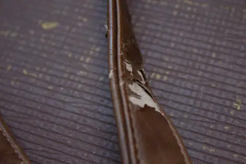 Old Leather Belt, фото 3