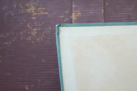 Раскрытый чистый форзац и корешок книги
