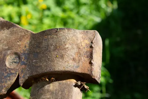Wood Axe, фото 5