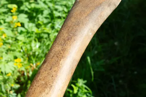 Wood Axe, фото 13
