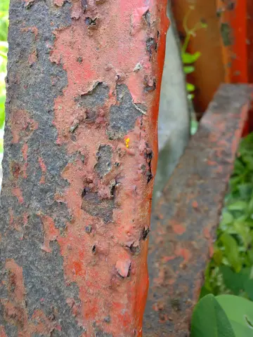Old Rag Garden Cart, photo 22