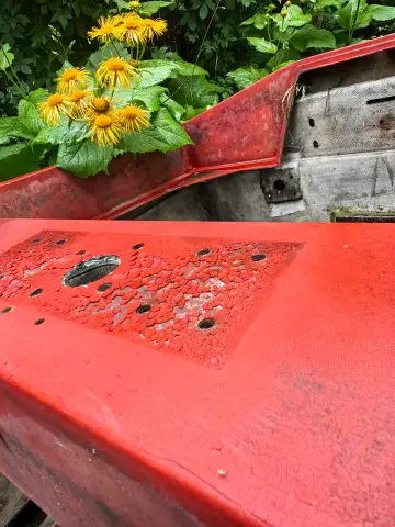Old Painted Red Boat, фото 6