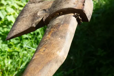 Wood Axe, фото 1