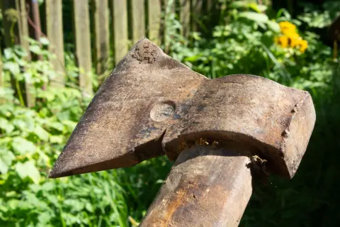 Wood Axe, фото 3