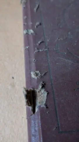 Old book, фото 4
