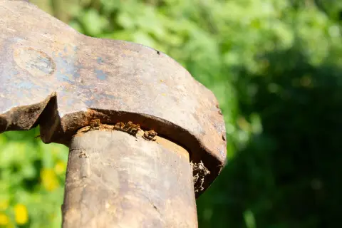 Wood Axe, фото 10