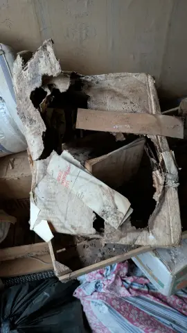 Old carton box, фото 10