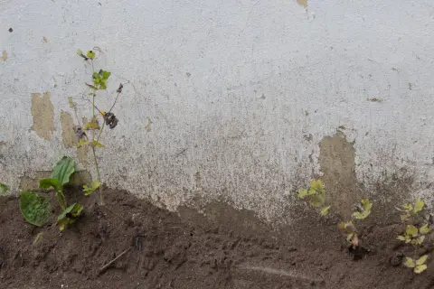 Old painted wooden window, photo 18