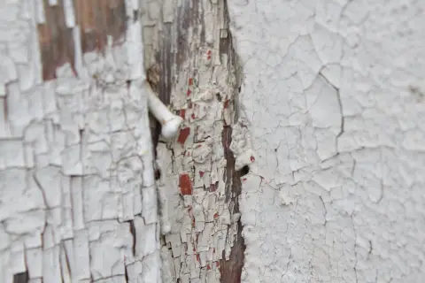 Old painted wooden window, photo 7