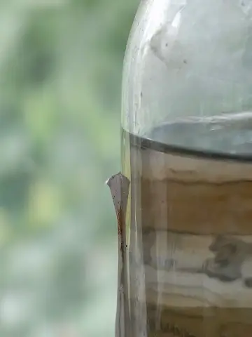 Glass Bottle, фото 11