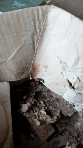 Old carton box, фото 8