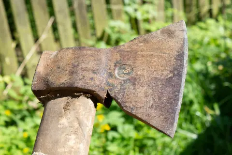 Wood Axe, фото 2