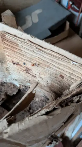 Old carton box, фото 9