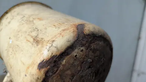Old rusty cup, фото 2